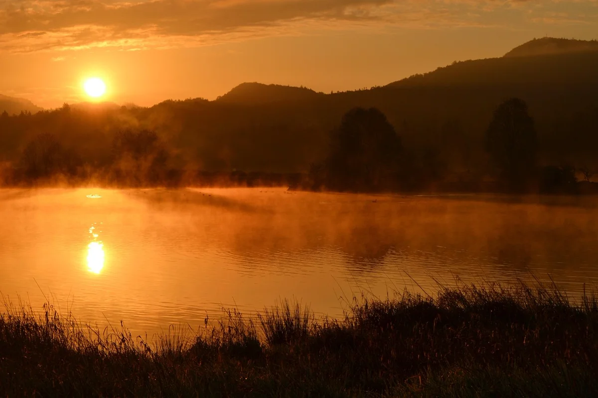 Pourquoi les oiseaux chantent-ils le matin ?