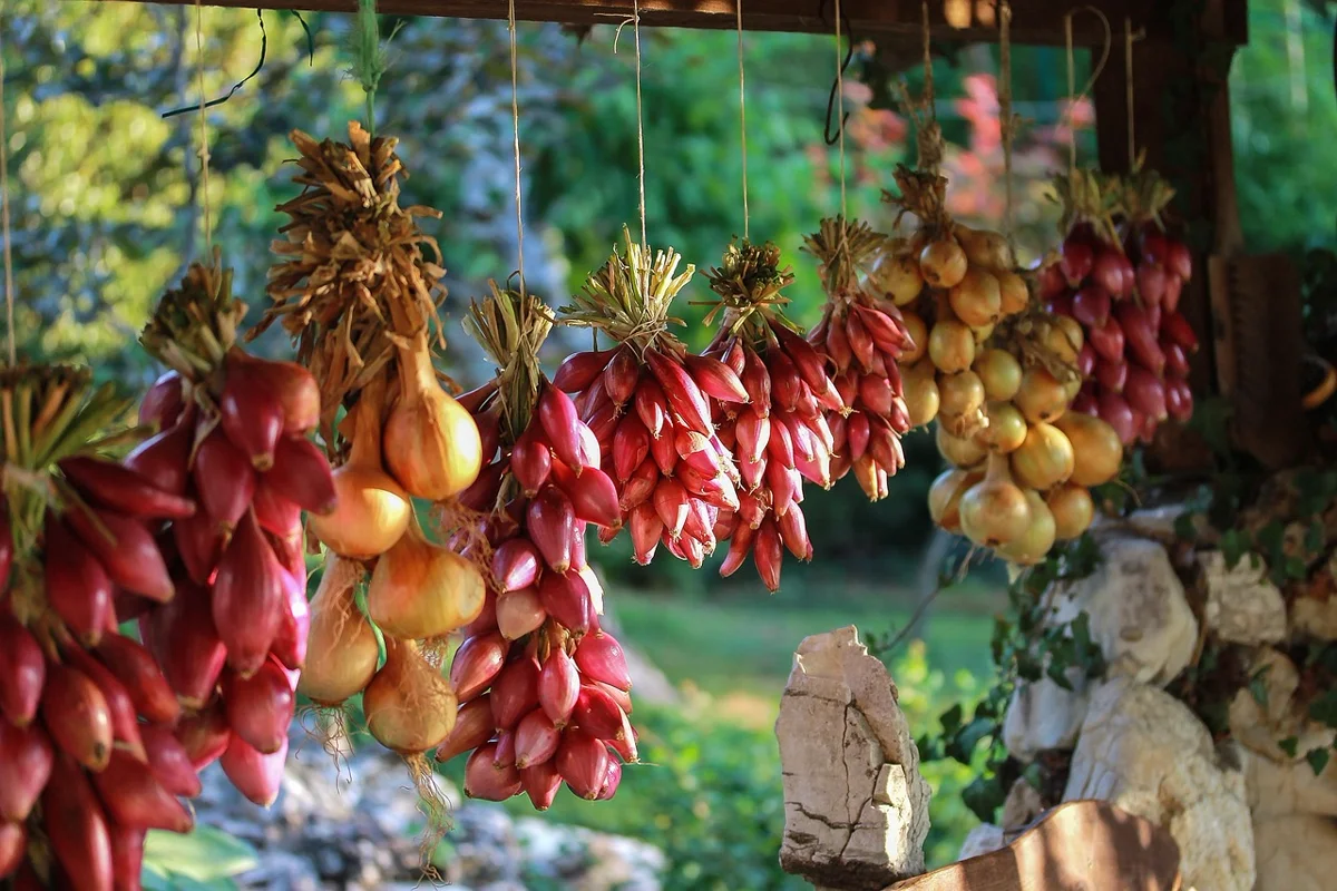 Pourquoi on pleure en coupant des oignons ?